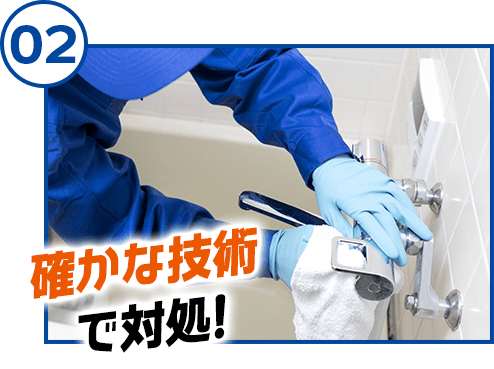 確かな技術で対処!